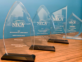 NECA Award_350x263.jpg